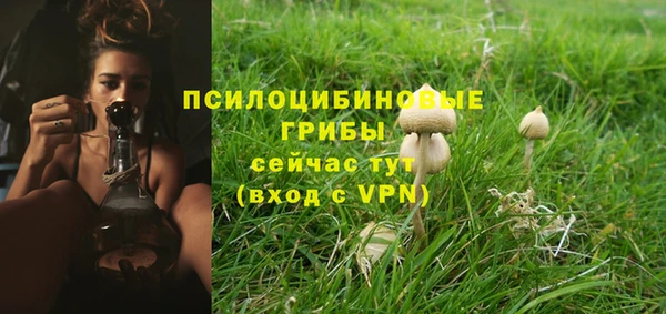 хмурый Осташков