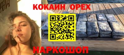 крисы Можга