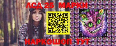 крисы Можга