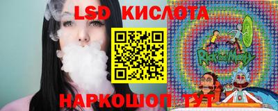 крисы Можга