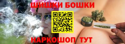 крисы Можга