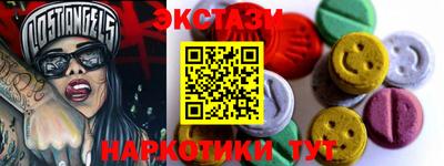 крисы Можга
