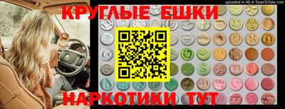 крисы Можга