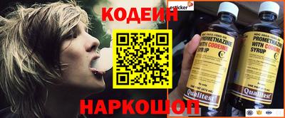 крисы Можга