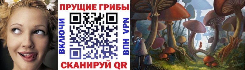 omg ссылки  Оренбург  Псилоцибиновые грибы ЛСД  что такое  