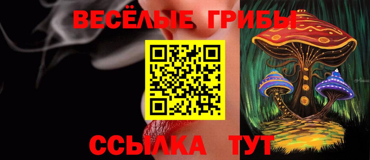 где купить наркоту  Псилоцибиновые грибы MAGIC MUSHROOMS  Вход с VPN  Оренбург 